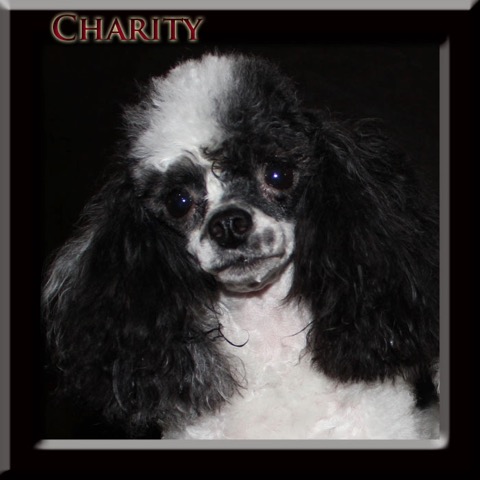 Charity4yrs