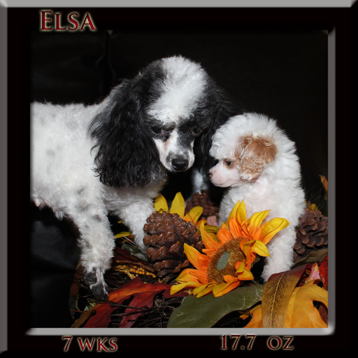 elsa and mom7wk
