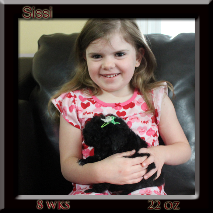 sissi and ella8 copy