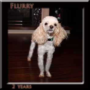 flurry 2 yr