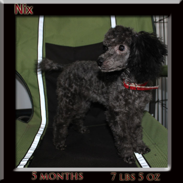 nix 5months