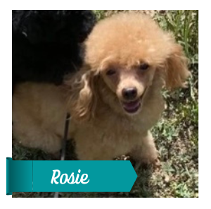 Rosie