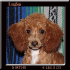 laska6mth face